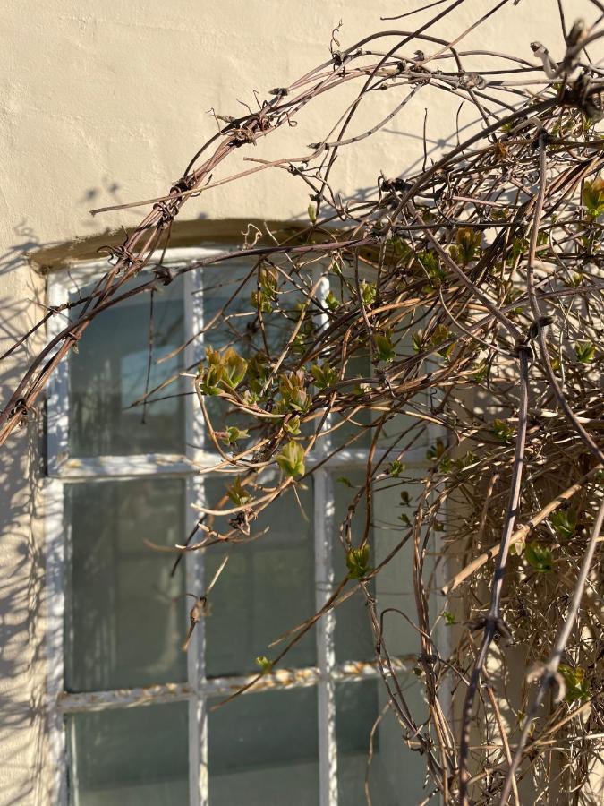 Feriehus i skøn natur Stenstrup Eksteriør bilde